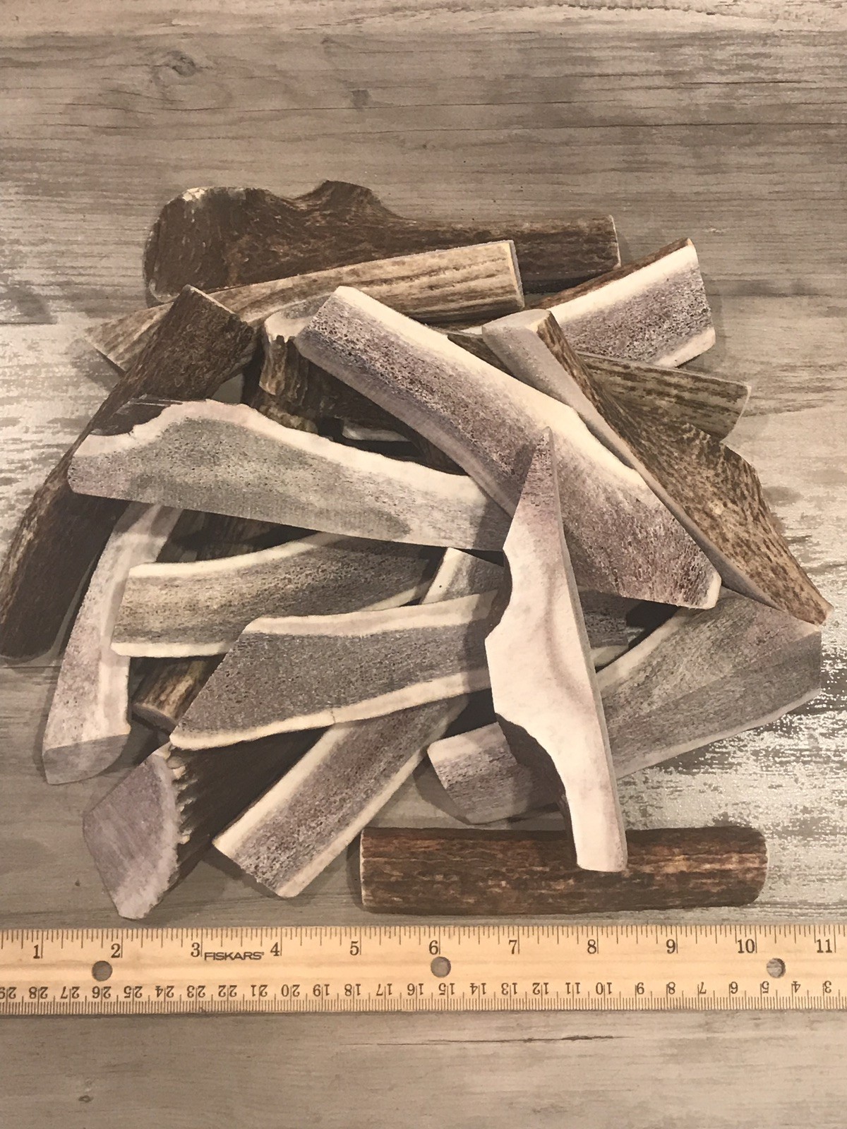 (6 PACK) SPLIT ELK ANTLER PREMIUM CHEWS (4-6") **OREGON ANTLER WORKS**