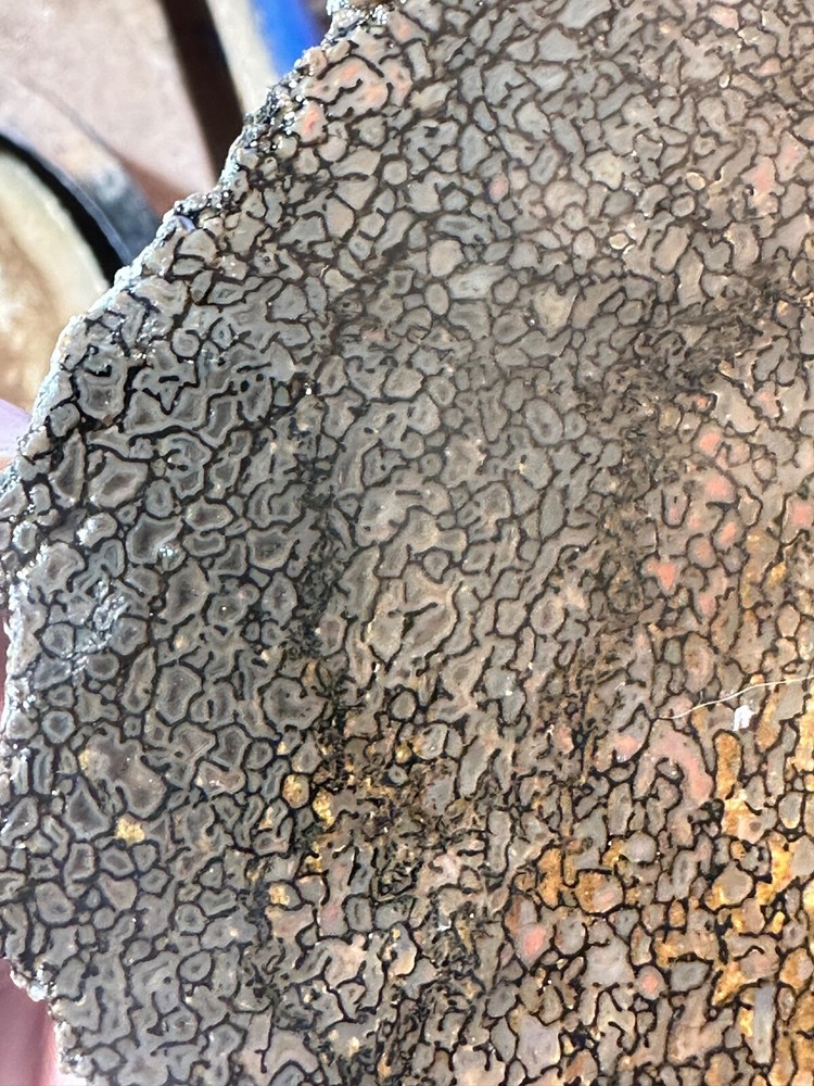 Dinosaur bone rough **hxtled slab.