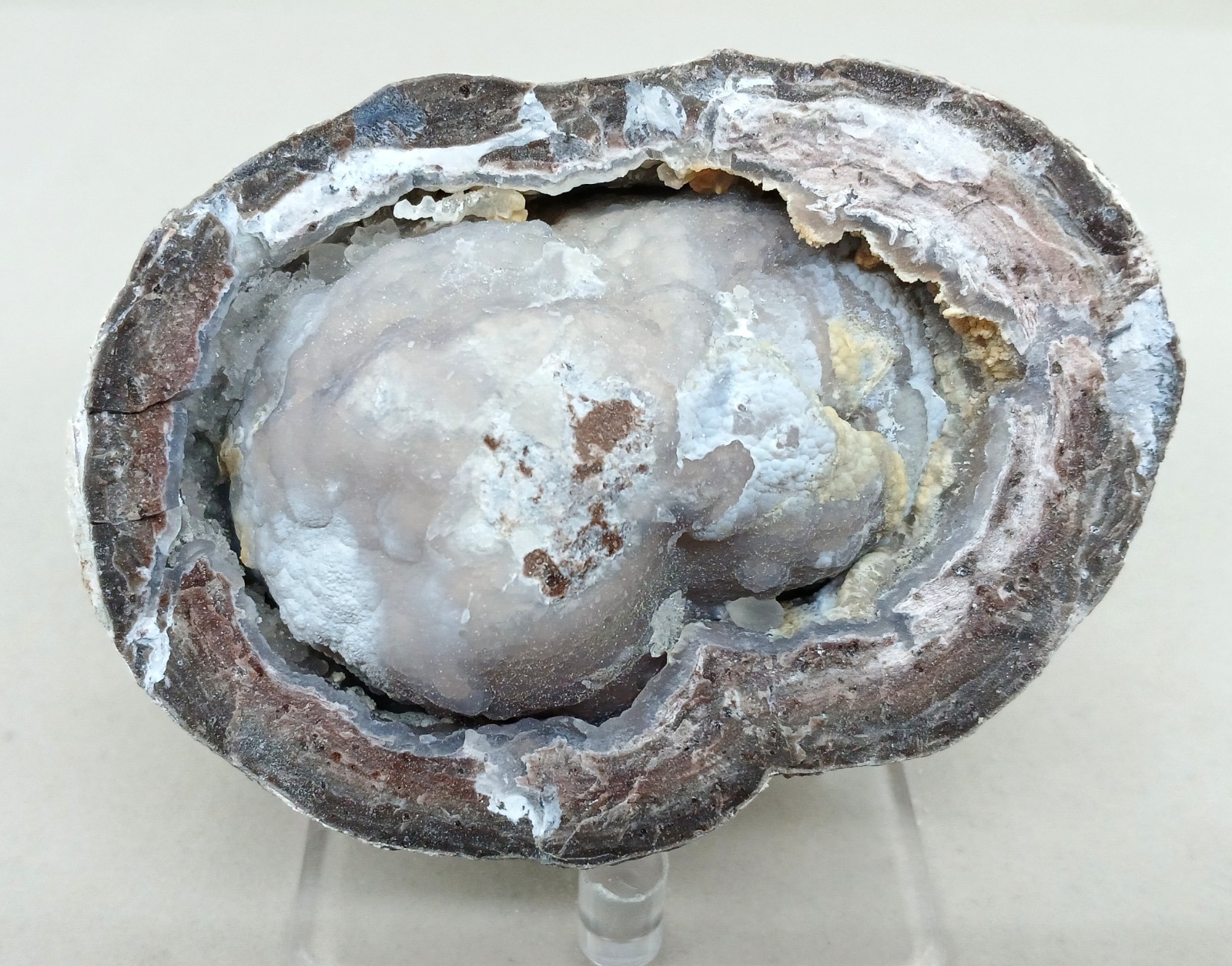 Whole Guaranteed Hollow Utah Dugway Quartz Agate Geode Thundereggs, Fluorescent!