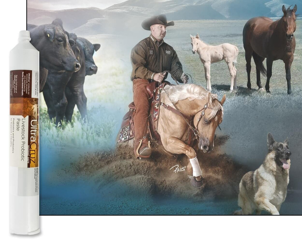 Livestock Probiotic Supplement, 60 Ml Paste