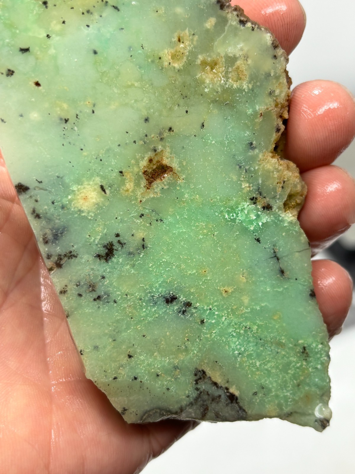 Indo Dendritic Chrysoprase Slab Cabbing Lapidary Collecting Combo Ship Avail