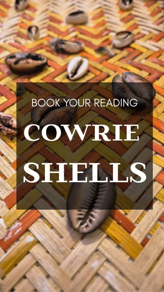 cowrie shell reading