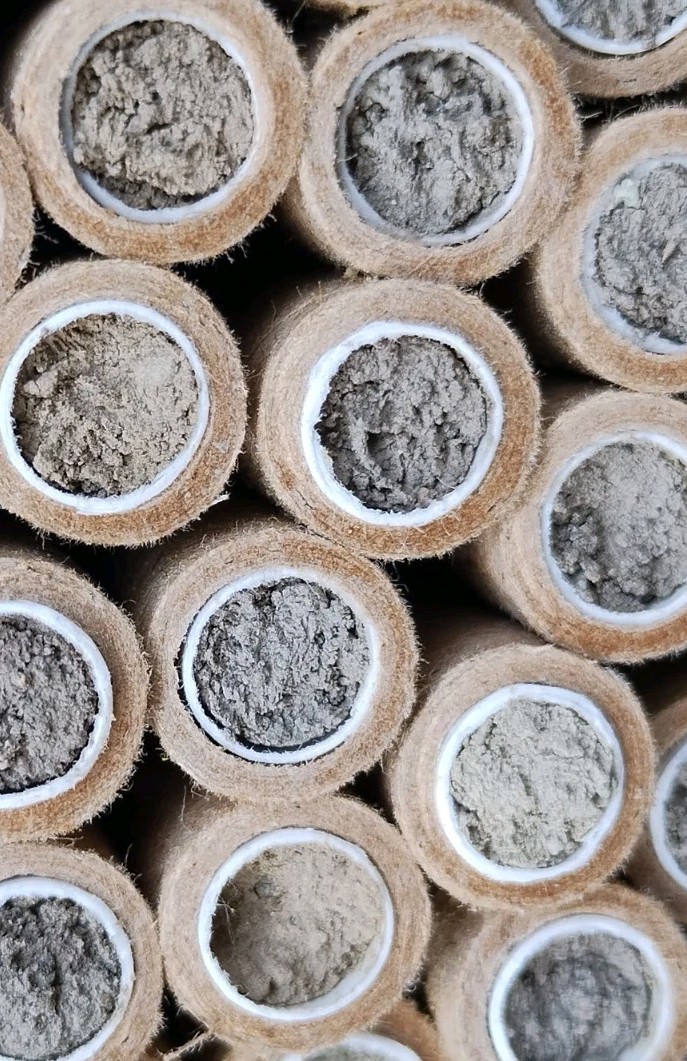 GARDENER GIFT! 5 Tubes LIVE 2025 BLUE ORCHARD MASON BEES COCOONS Spring Emerge