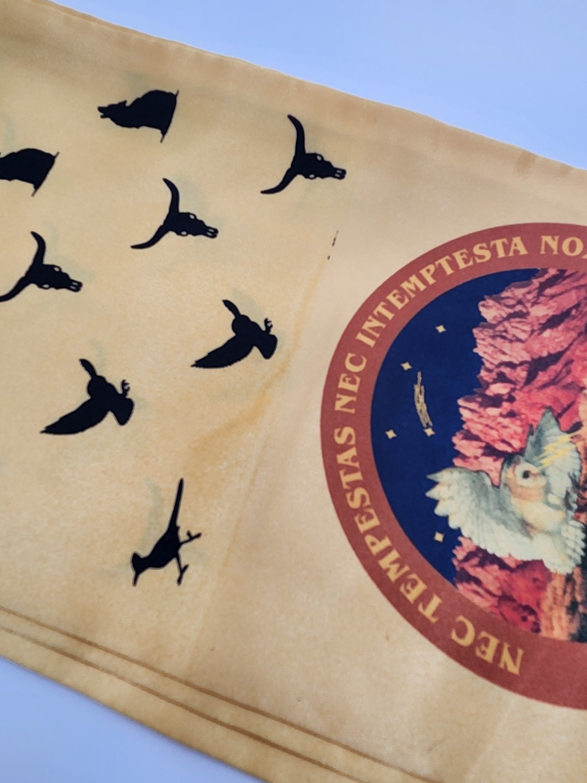 Vintage Military Aviation USAF Rakkel Rama World Flight Scarves Air Force Scarf