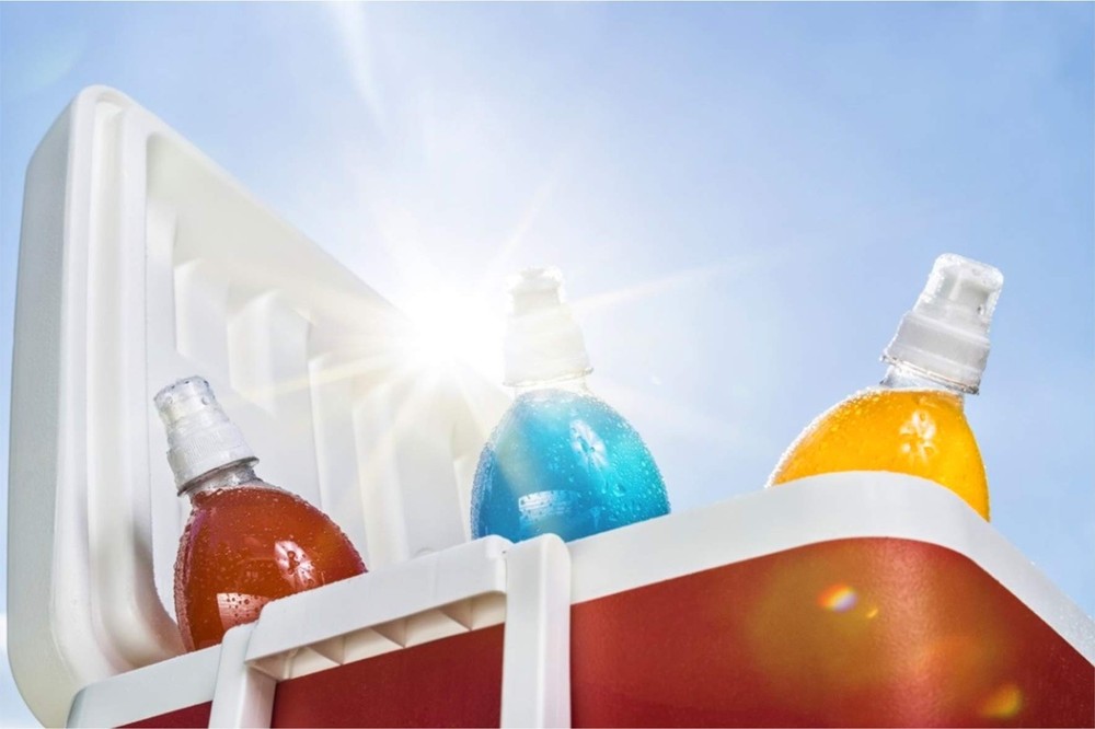 Cooler Hinges Replacement Set Plastic Hinges with Screws 4 Pack