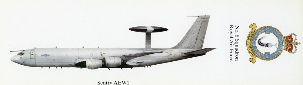 SENTRY - 8 SQUADRON BOOKMARK