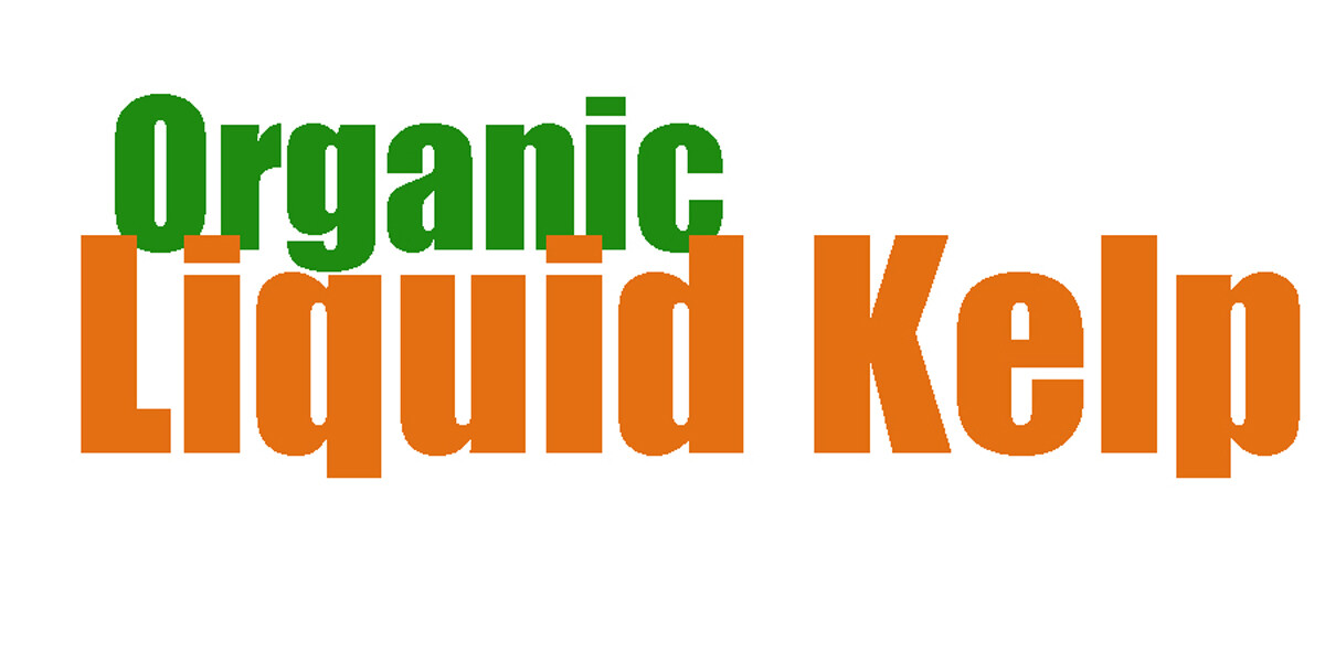 Liquid Kelp Organic Seaweed Fertilizer, 1 Gallon of concentrate