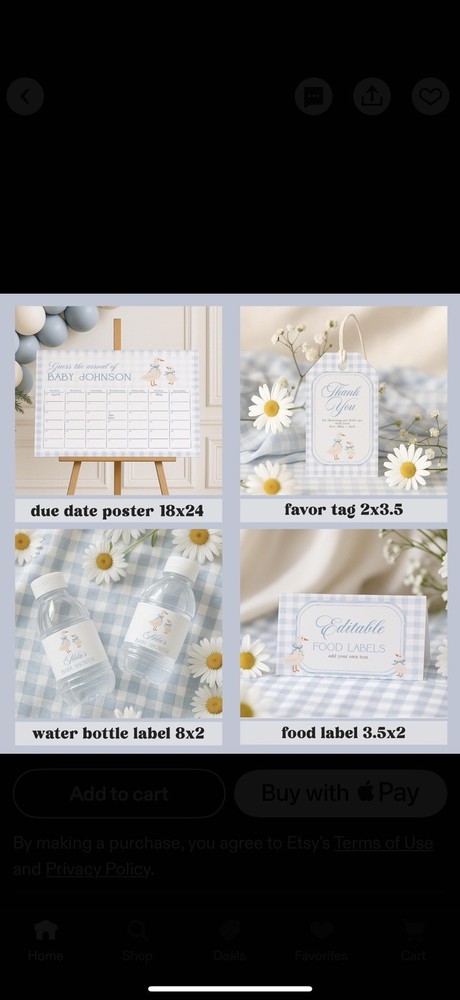 Silly Goose Baby Shower Bundle