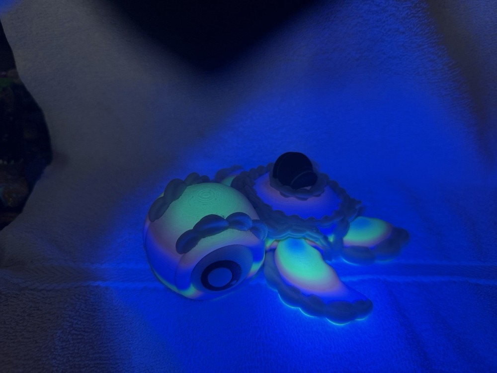 Large 3-D Printed Sea Turtle
