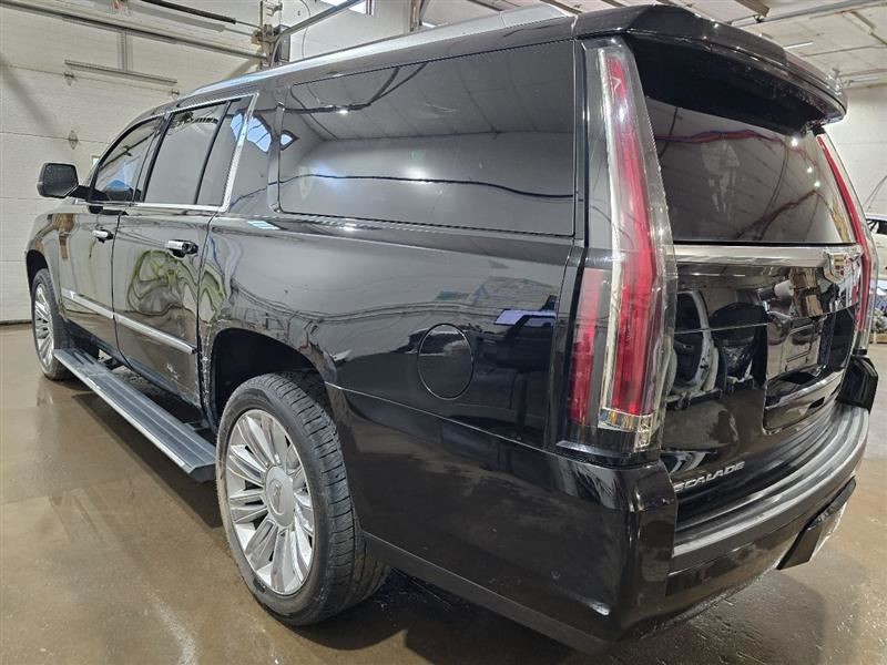 ESCALAESV 2017 Camera/Projector 590723