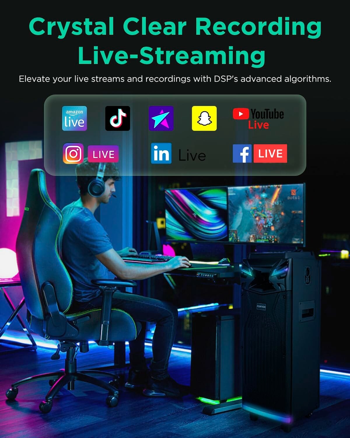 Karaoke Machine with 2 Microphones, Bluetooth Dual-10 Karaoke Speaker