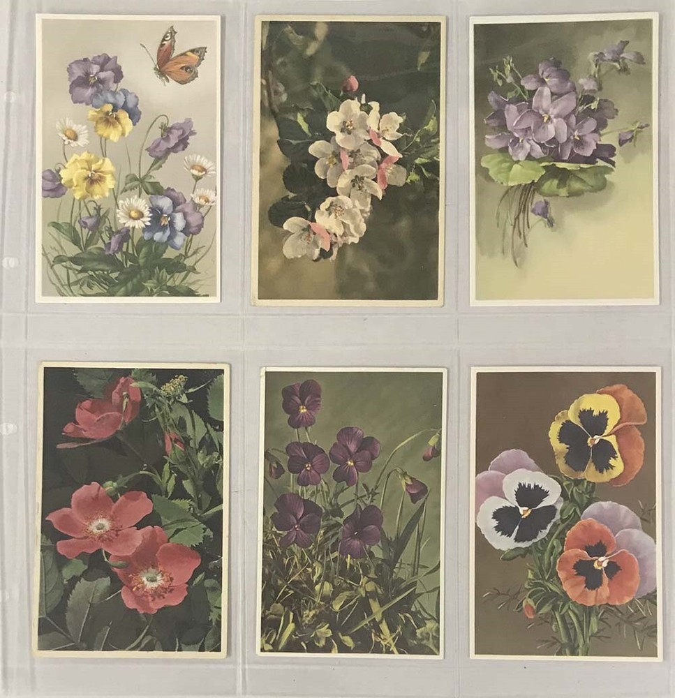 Lighthouse Maximum Wide Pages 6 Pockets Vintage Postcards Vertical Clear Sheets