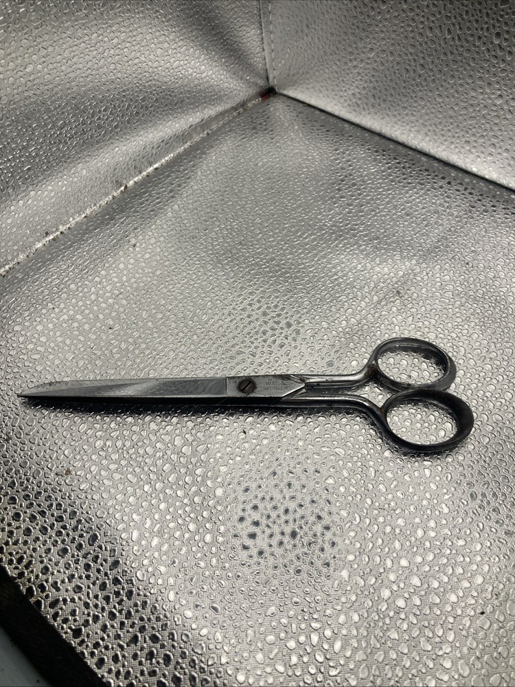 Wasa Solingen Scissors