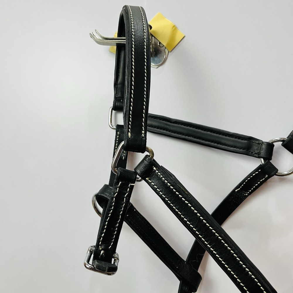 Padded Leather Horse Halter | Adjustable Equestrian Headcollar