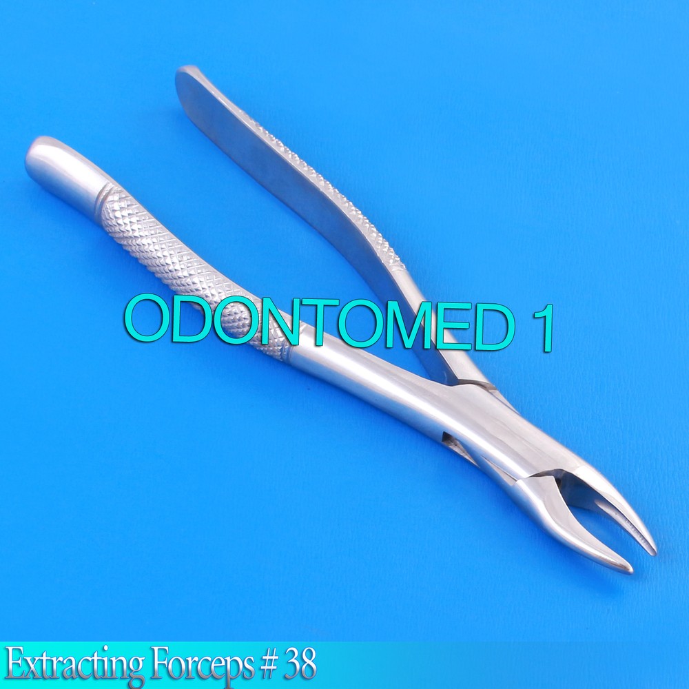 EXTRACTING FORCEPS #38 DENTAL SURGICAL INSTRUMENTS