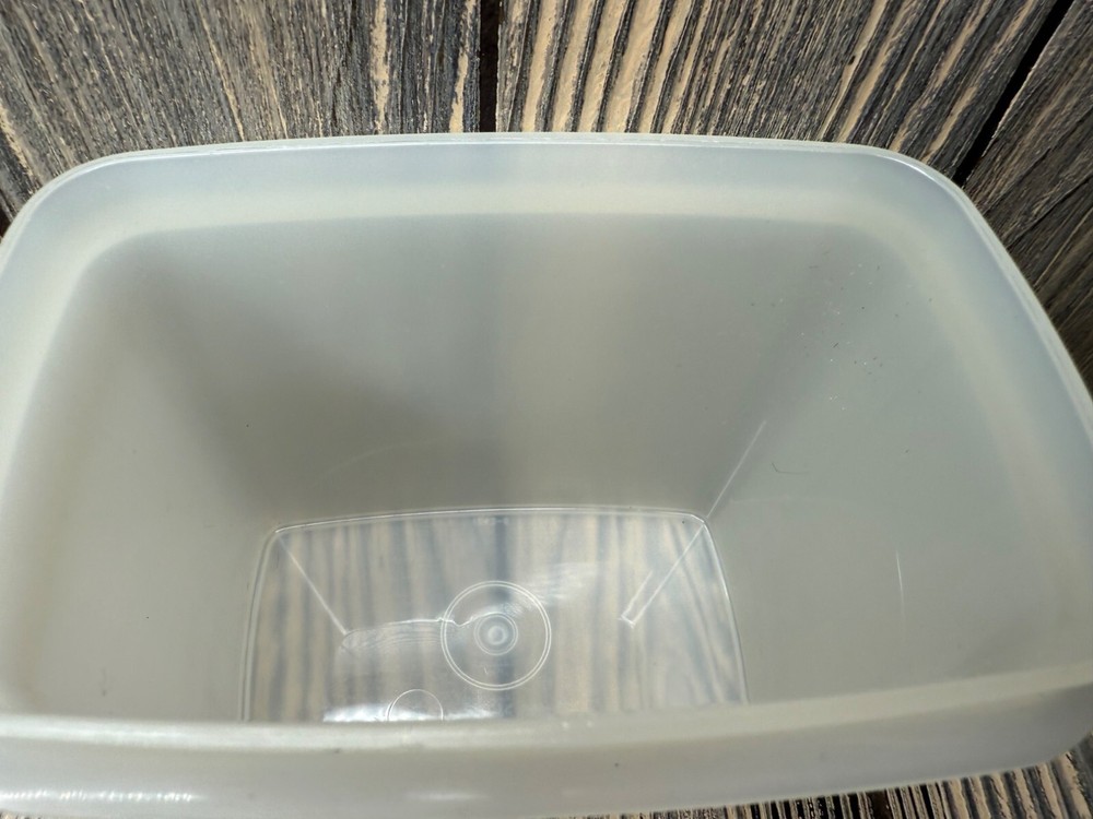 Tupperware Frosted Plastic Storage Container 243