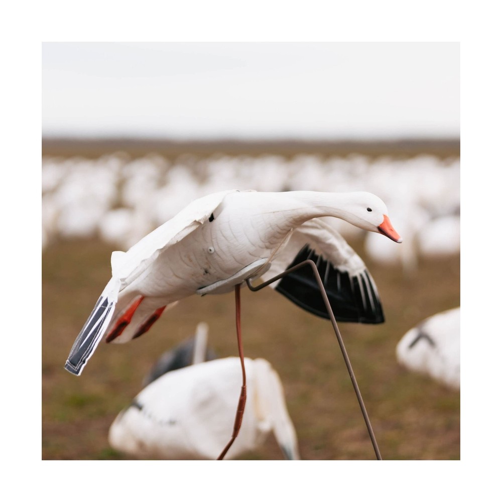 Higdon Outdoors Clone Snow Goose Flapping Motion Decoy with Adjustable Wing S...