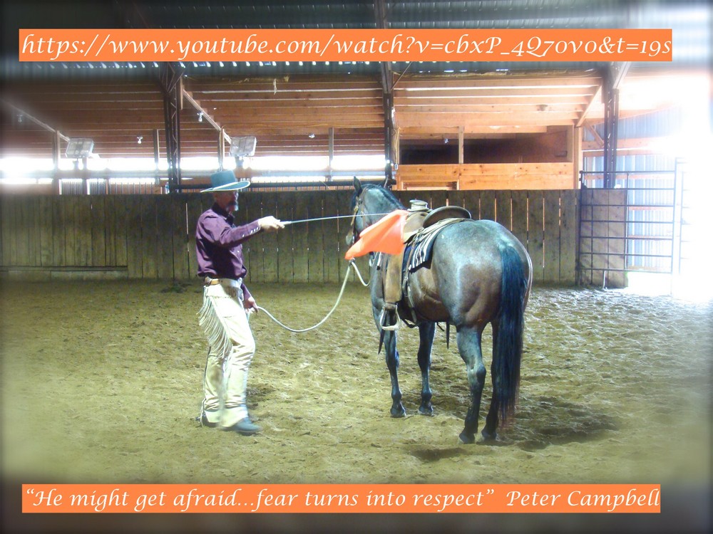 Peter Campbell Specification Designed Horsemanship Replacement Flags