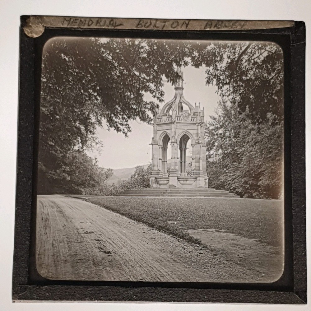 Glass Slide Collectable