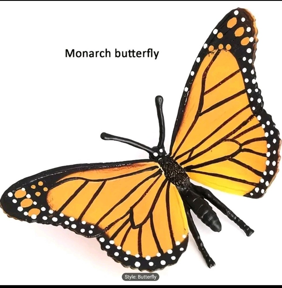 Butterfly Life Cycle Model Kit Educational Teaching Tools Learning Aids 4 Pcs