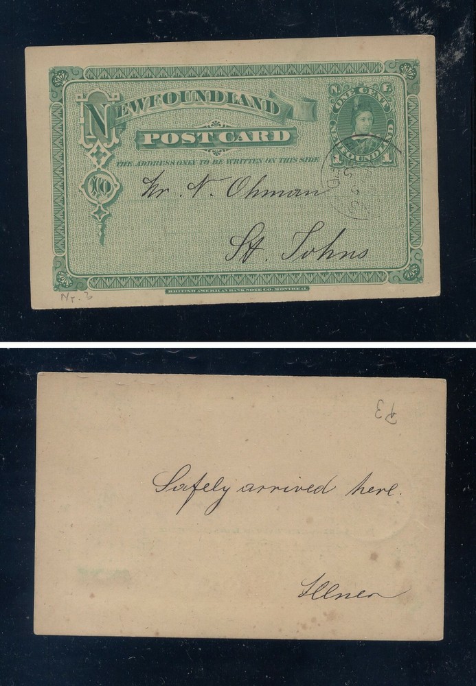 Newfoundland  postal  card  local use