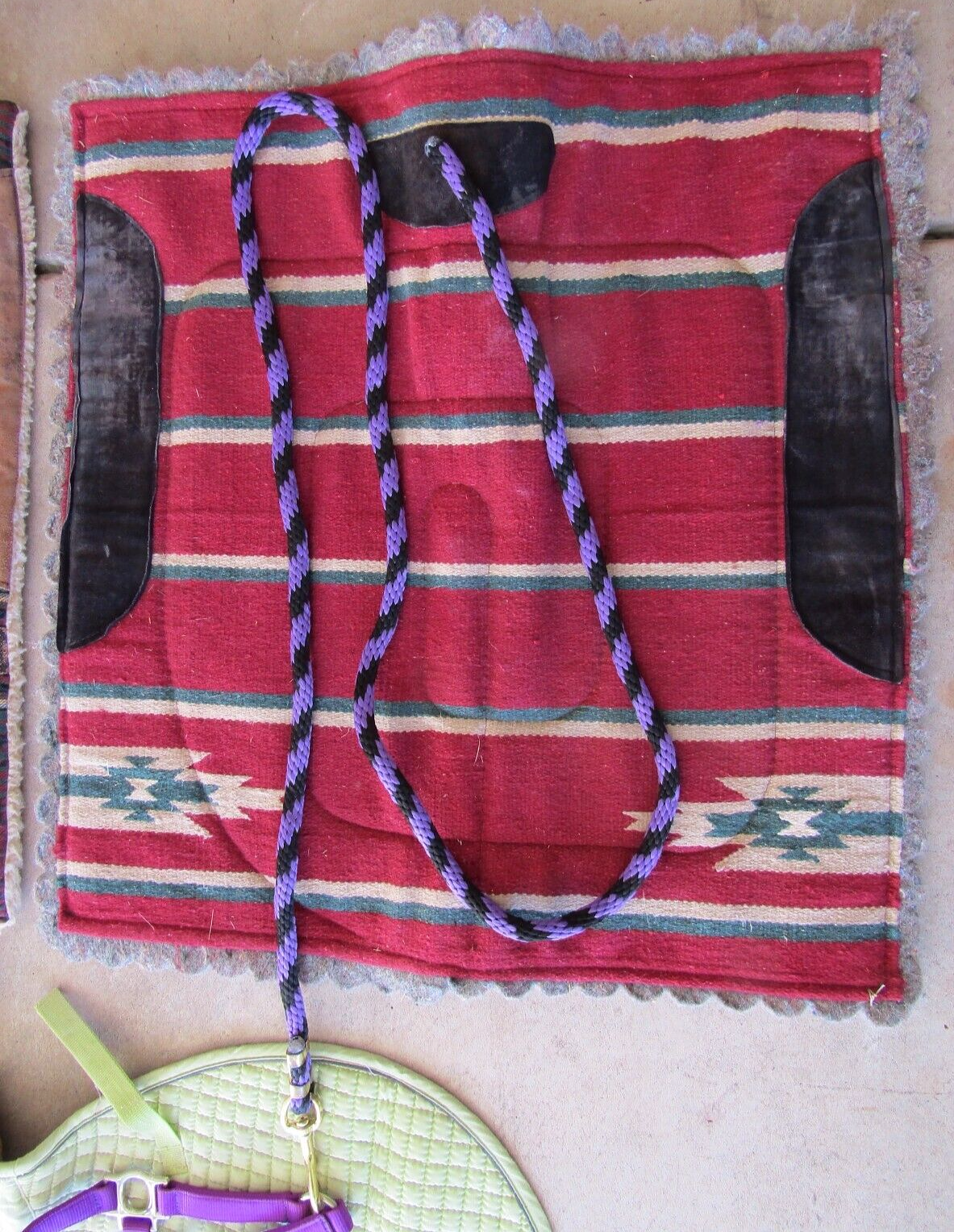 Horse riding and care equipment large lot !