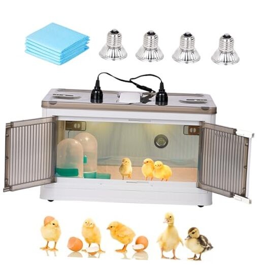 Brooder Box for Chicks Quail Brooder Box with Thermostat Poultry Heater