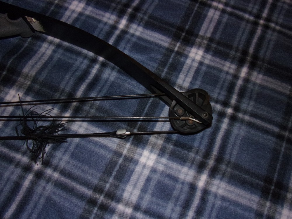 Vintage Darton 20MX Compound Bow