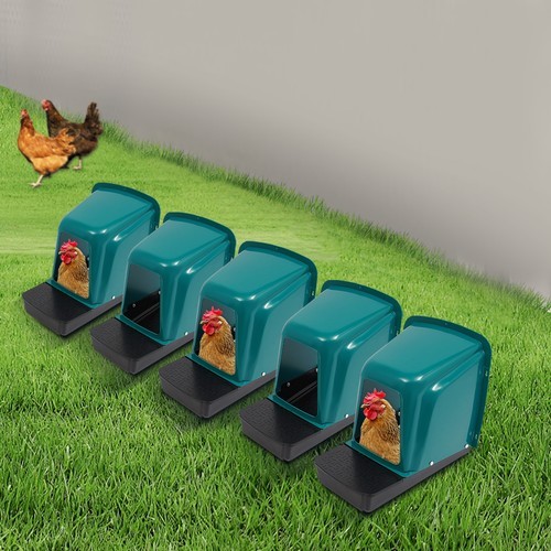 5-Pack Chicken Nesting Boxes for Secure, Comfortable Egg Laying