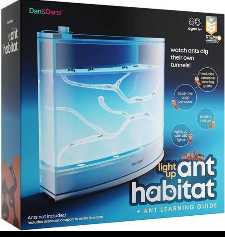 Light-up Ant Habitat