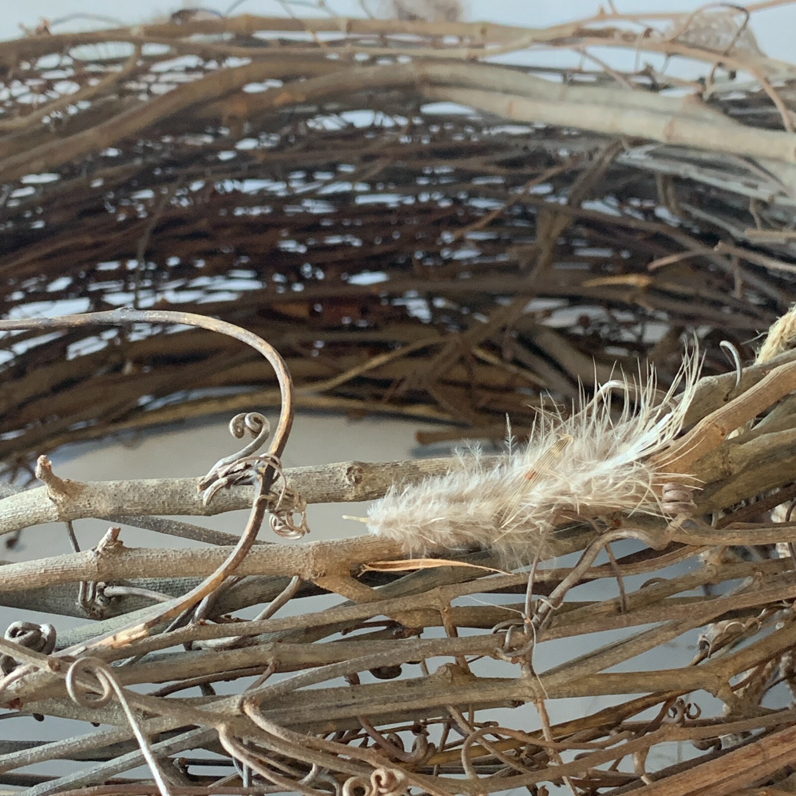 Twig Newborn Baby Nest Feathers Photography Props Photographer Handmade