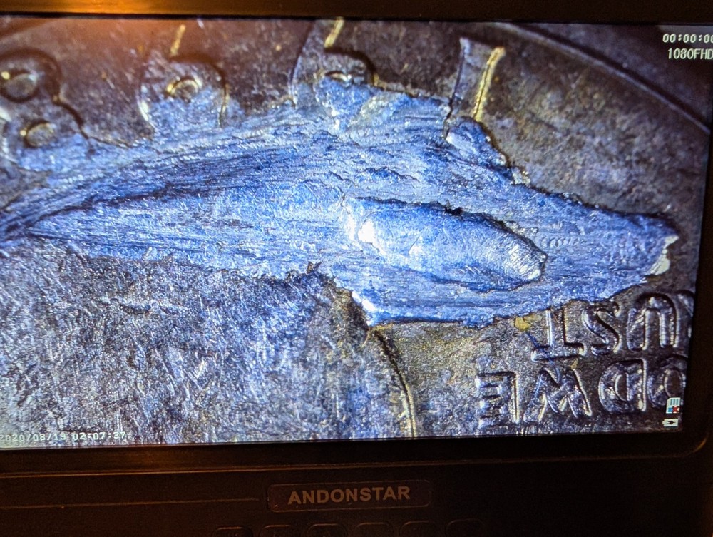 1998 D Quarter Error