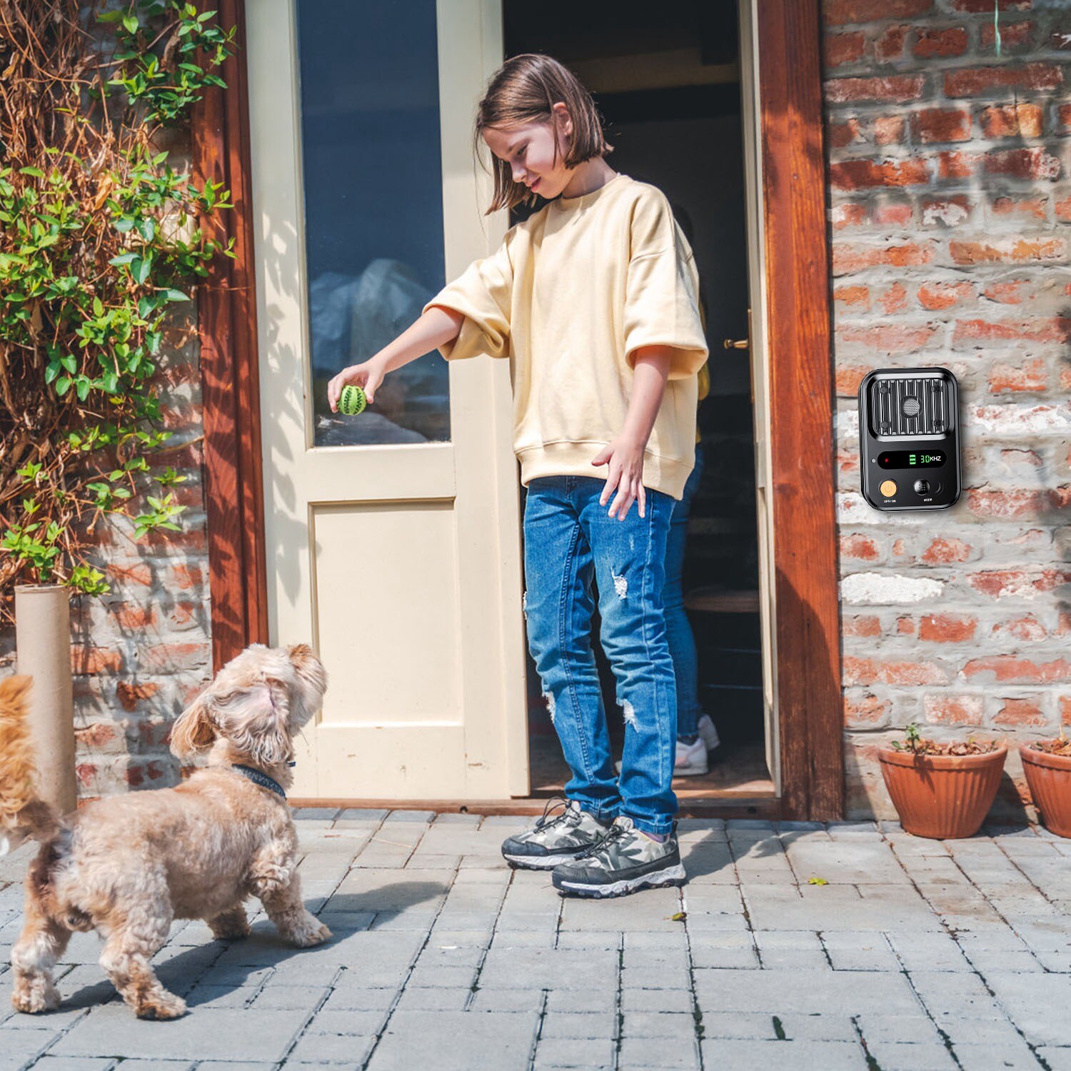 Ultrasonic Anti-Barking Device Dog Bark Control Deterrent Box Training Device