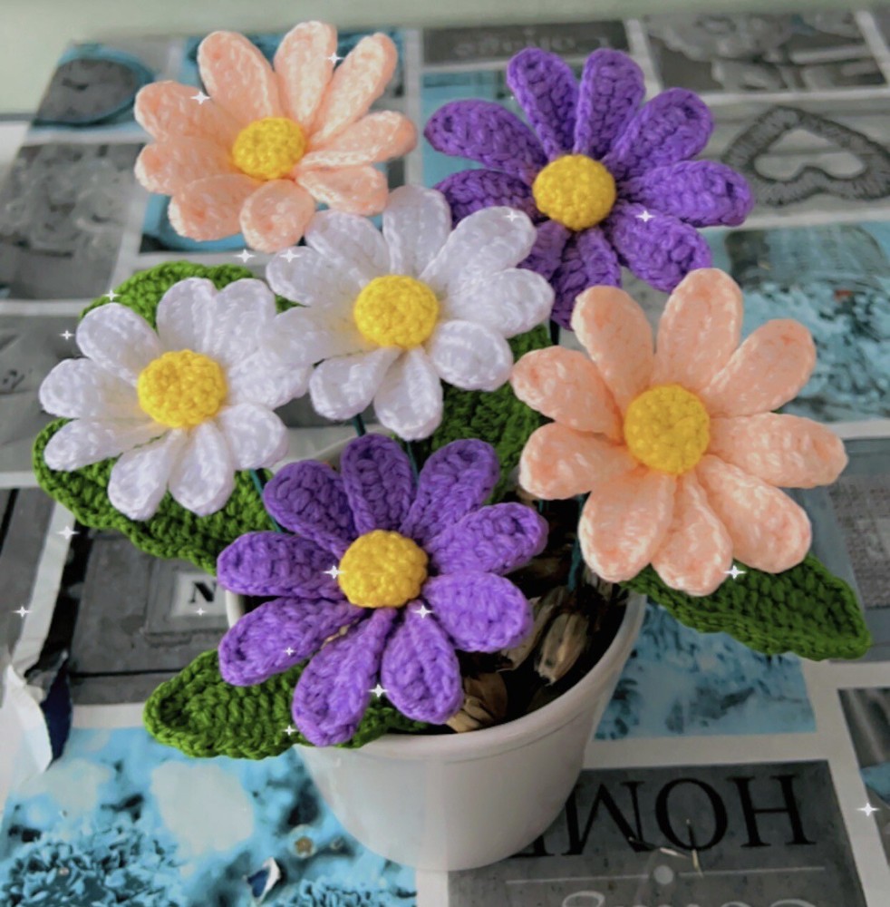 Crochet Colorful Daisies »