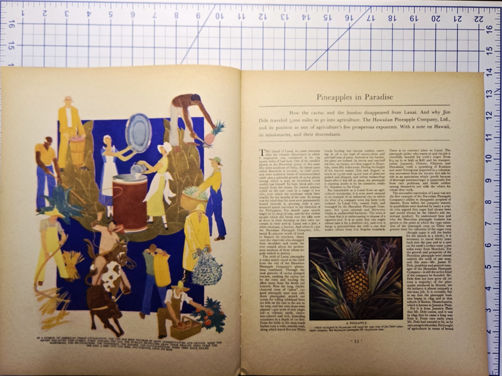 1930 Pineapples In Paradise Magazine Article Hawaiian Pineapple Co Lanai Dole
