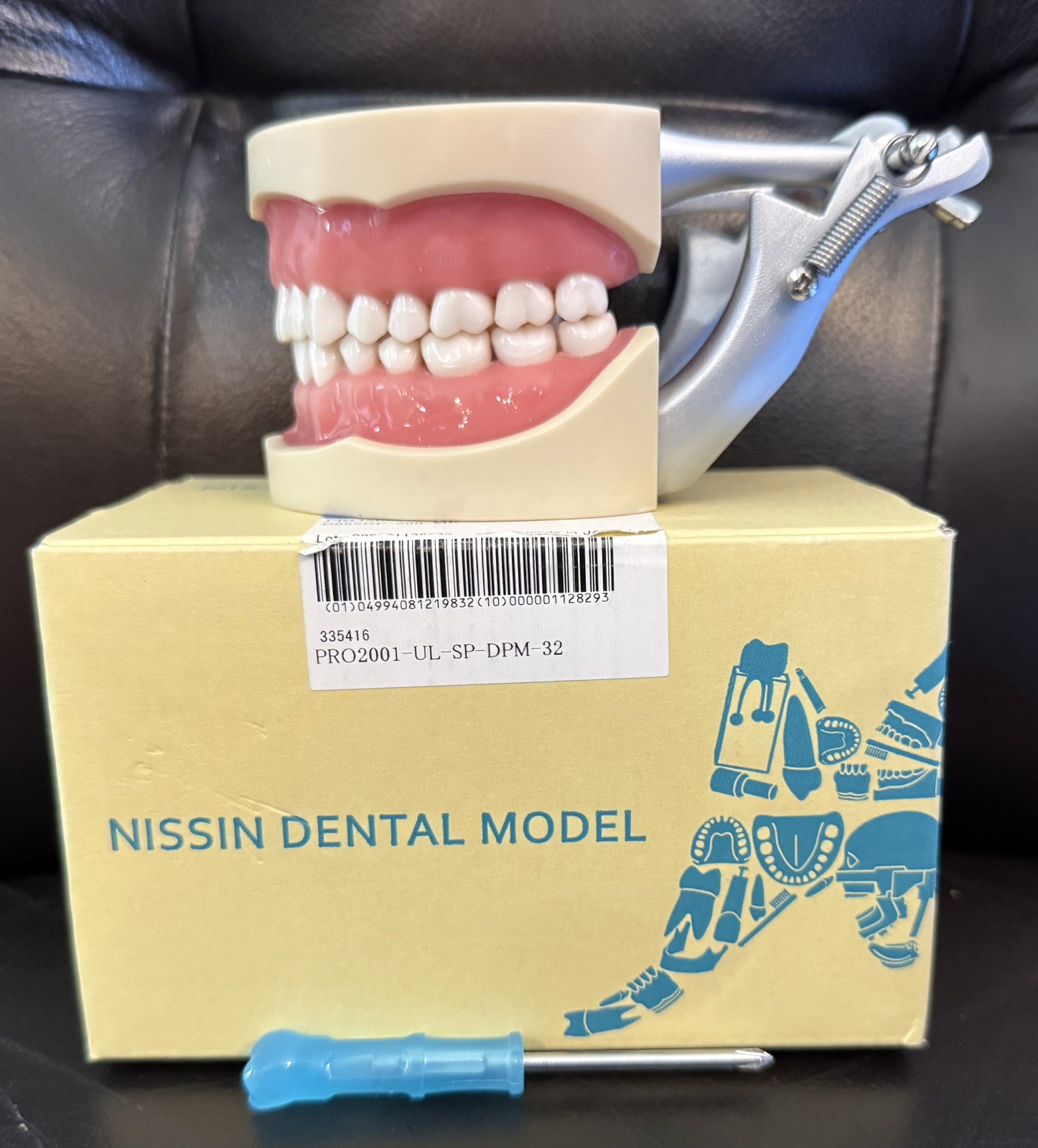 NISSIN PRO2001-UL-UP-DPM-32 Dental Model Kilgore Typodont Teeth