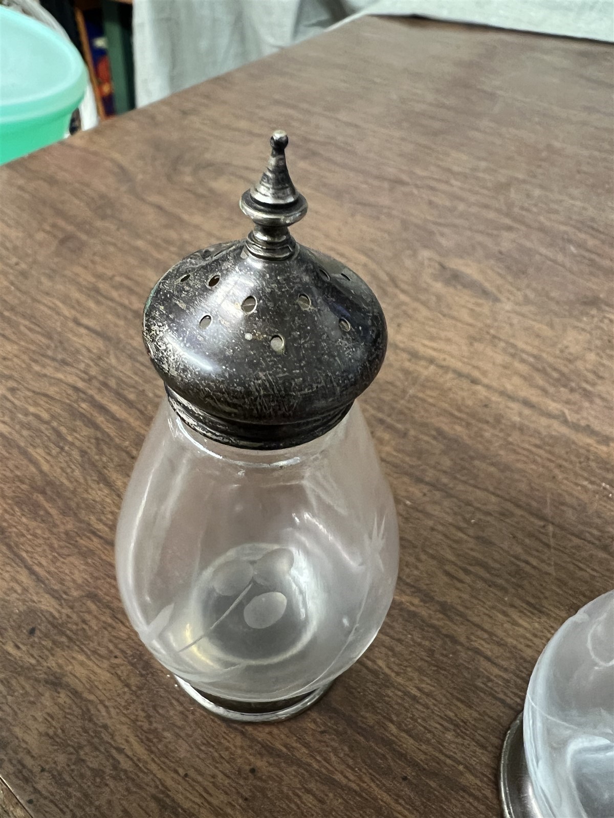 Etched Crystal and Sterling Silver Salt and Pepper Shakers