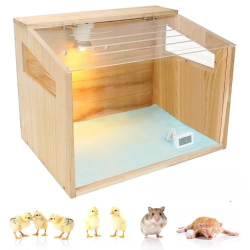 Chicken Brooder Box for Chicks - Poultry Brooder with Heaters : Panoramic