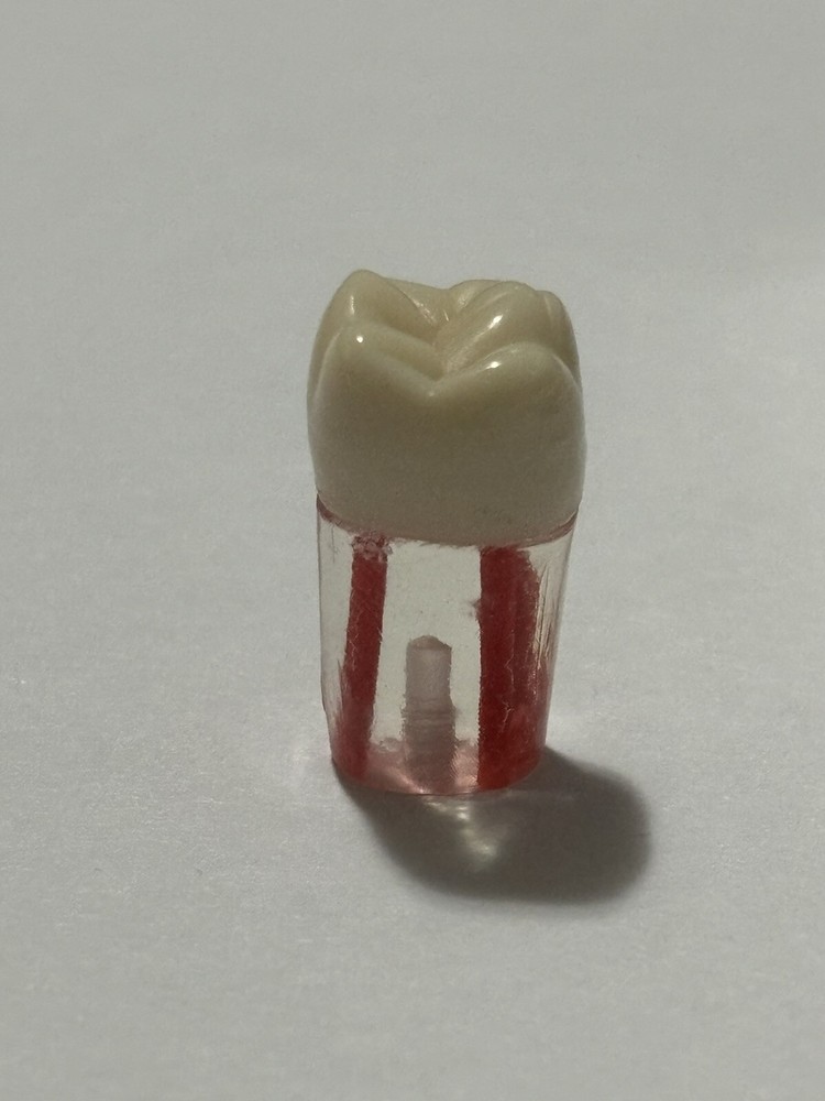 Endo Tooth #46 For ADC MODEL (3 Pack)