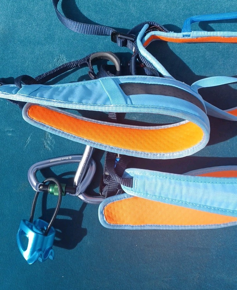 Mammut Climbing Harness