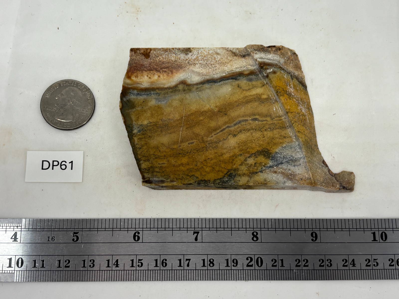 Disaster Peak Picture Jasper Slab Cabbing Lapidary Collecting Combo Ship Avail