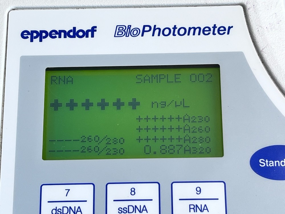 Eppendorf 6131 BioPhotometer - Fully Functional