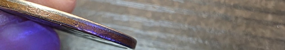 ​2010 Native American Dollar - MISSING EDGE LETTERING Error