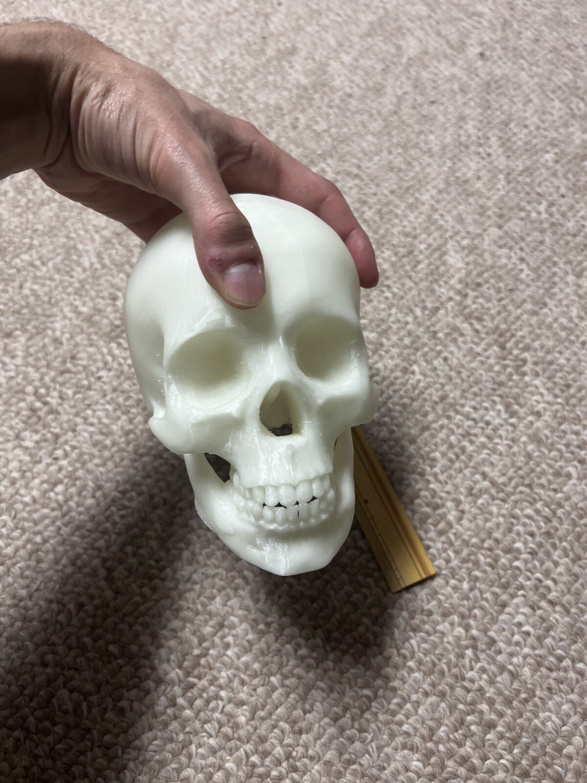 Glow In the Dark Human Skull! (Good Quality:3DP:White-PLA) GREEN OR BLUE GLOW!