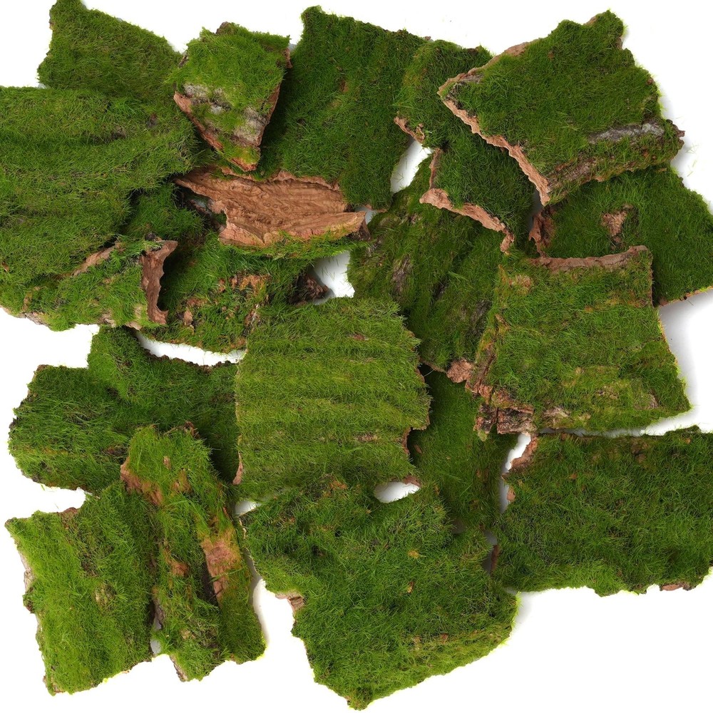 BYHER Assorted Artificial Moss Bark, Decorative Mossy Realistic Green - 100gr