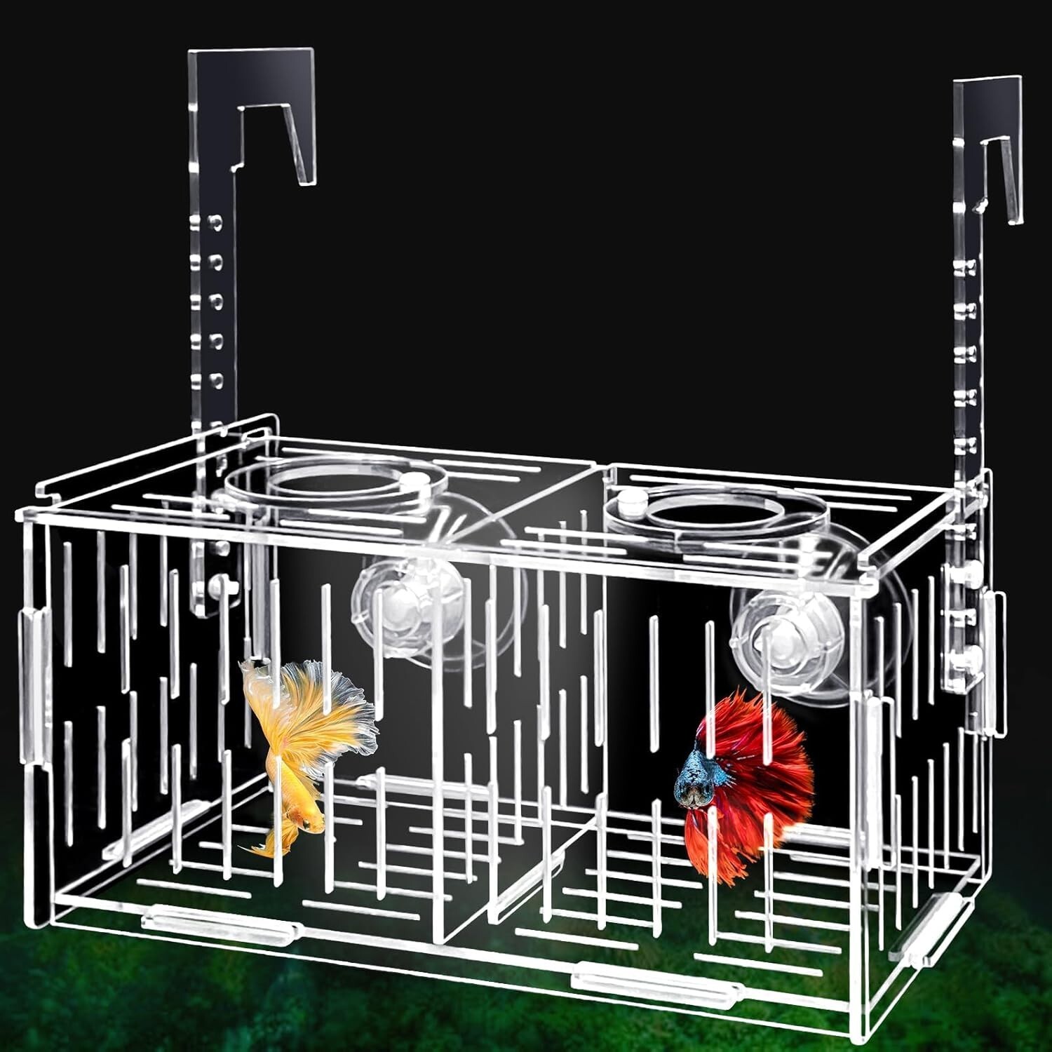 Breeder Box for Fish Tank,Fish Breeder Box for Aquarium, Guppy (2 Cells)