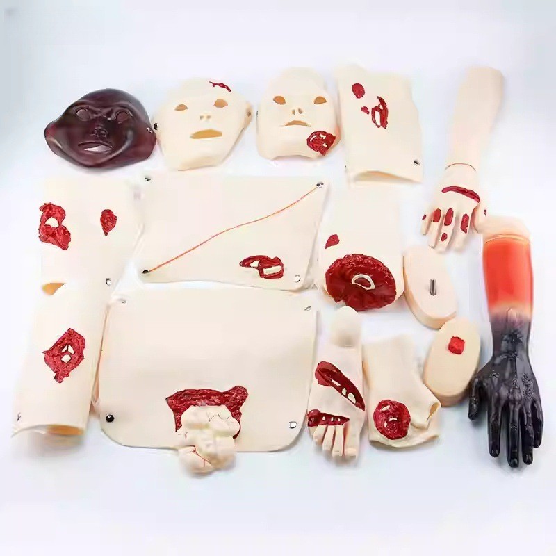 16Pc Trauma Evaluation Module First Aid Simulation Training Model Emergency Care