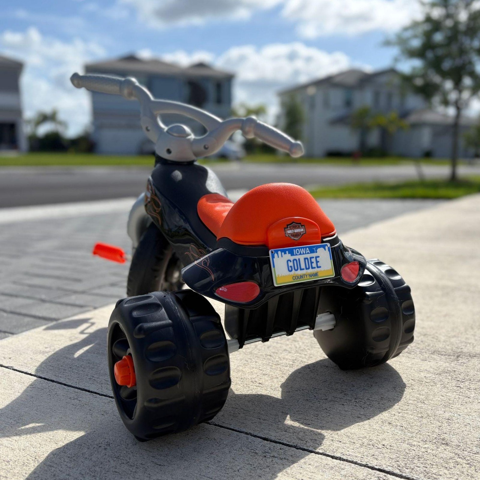 Personalized Mini License Plate Tag – Custom 3D 4x2” State Plate for Kids