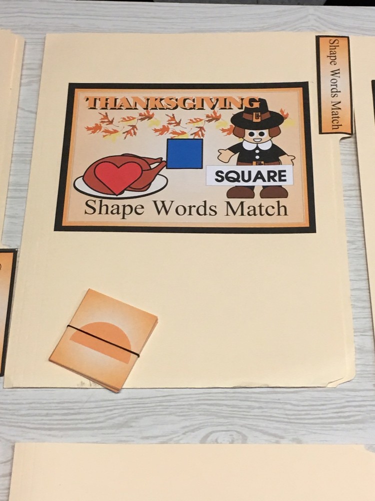 Thanksgiving - 10 File Folder Set - Activity Set - Teaching - DIY PRINTED