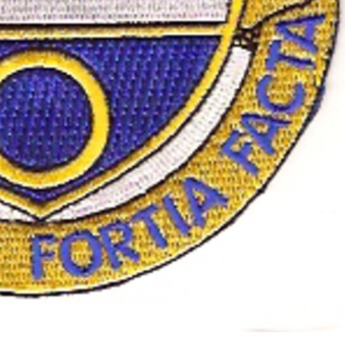 365th Infantry Regiment Patch